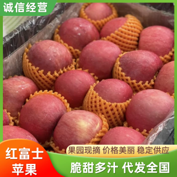 【优选苹果】河南红富士苹果-价格低口感佳-产地直发