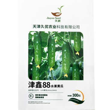 水果黄瓜种子津鑫88强雌全雌油亮型春秋棚及春露地