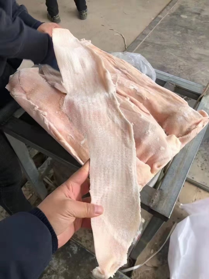 猪皮槽头皮