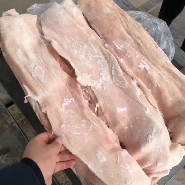猪皮槽头皮