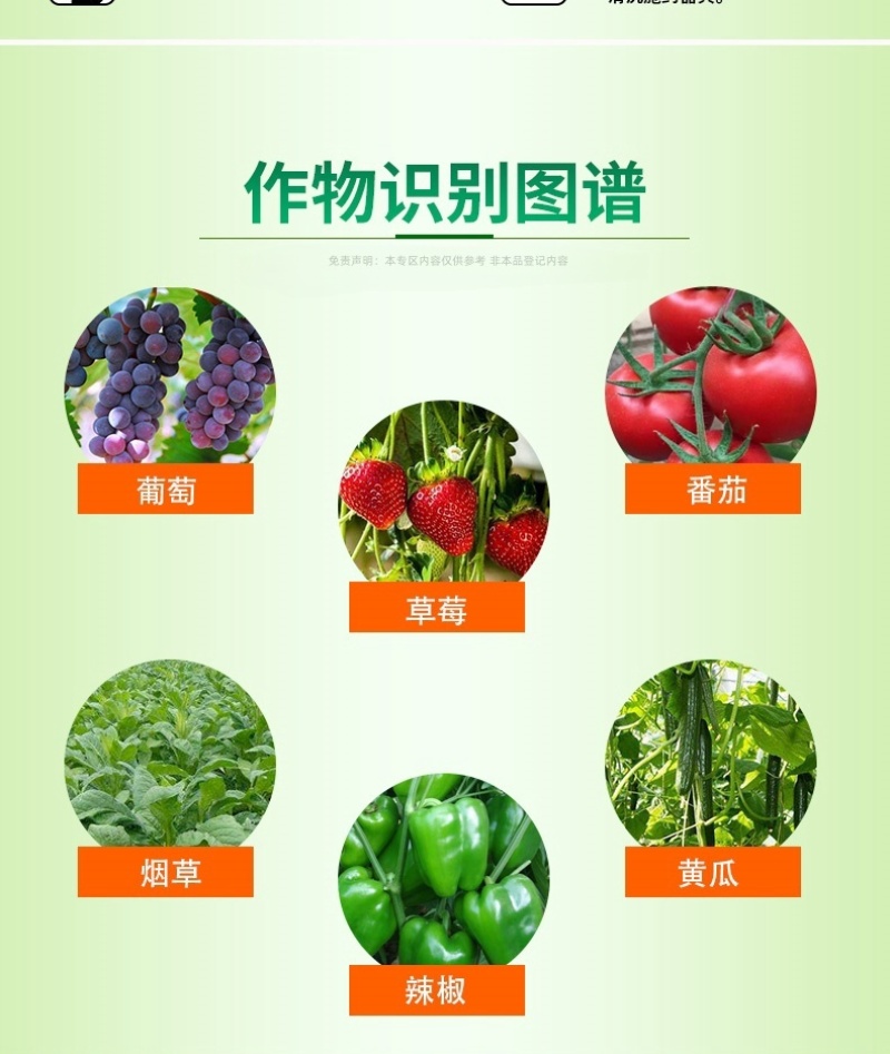 绿亨30%嘧霉胺福美双西红柿草莓叶霉病灰霉病专用药杀菌剂