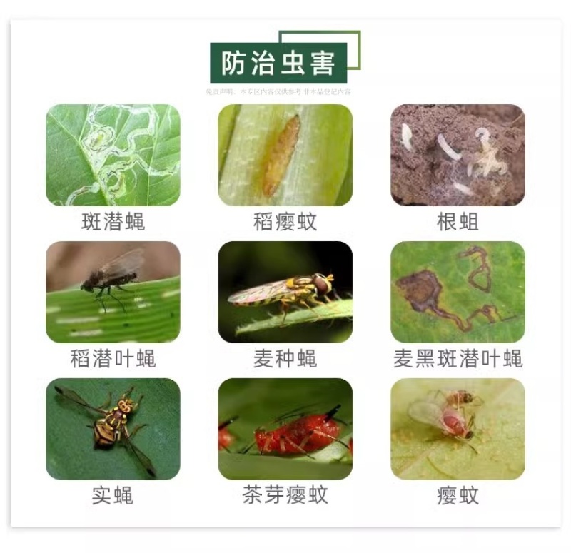 正品绿亨10%灭蝇胺黄瓜美洲斑潜蝇潜叶蛾鬼画符农药杀虫剂