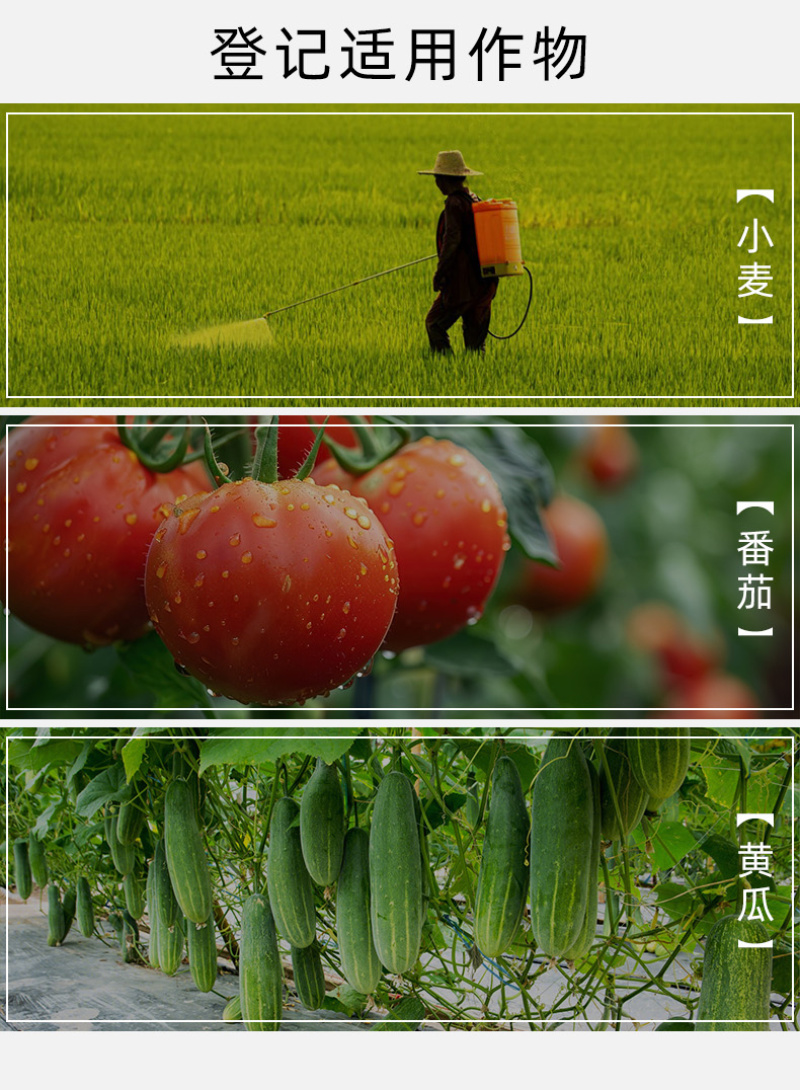 绿亨1.4%复硝酚钠花果上色保花保果植物解药害生长调节剂