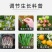 绿亨1.4%复硝酚钠花果上色保花保果植物解药害生长调节剂