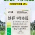 绿亨25%琥铜吗啉胍辣椒烟草黄瓜番茄小叶花叶病毒病杀菌剂