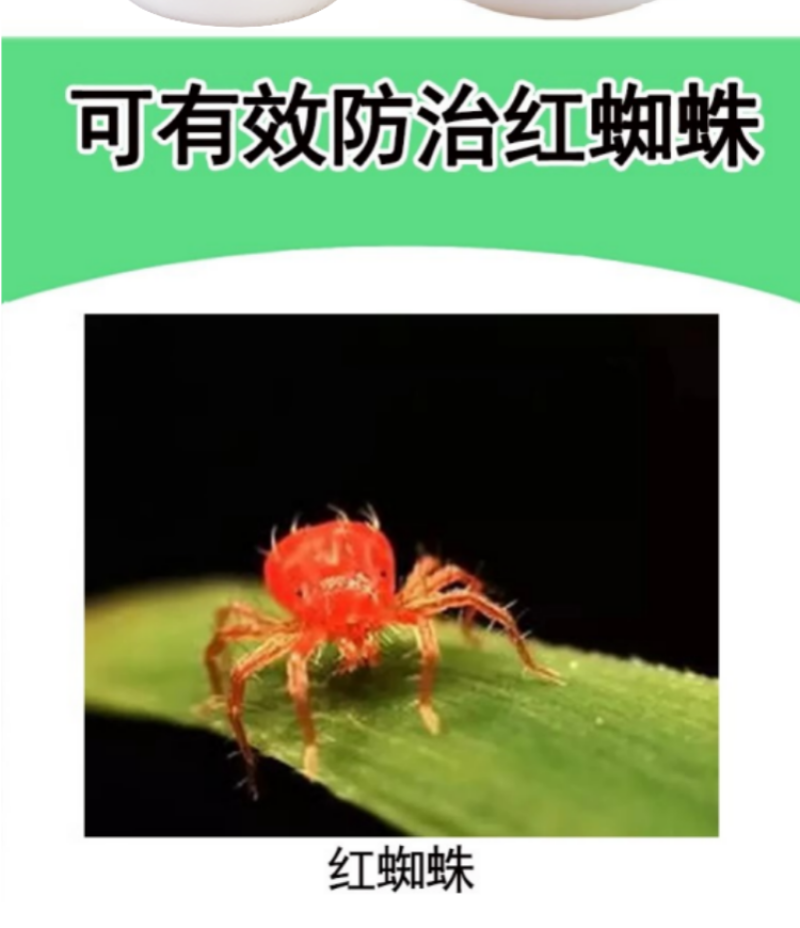 绿亨20%双甲脒柑橘芒果红蜘蛛蚧壳虫梨木虱果树杀虫杀螨剂