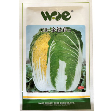 黄心白菜种子CR-金福春韩国春白菜50天上市春秋种植
