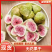 【推荐】无花果干品质保证对接全国商超市场