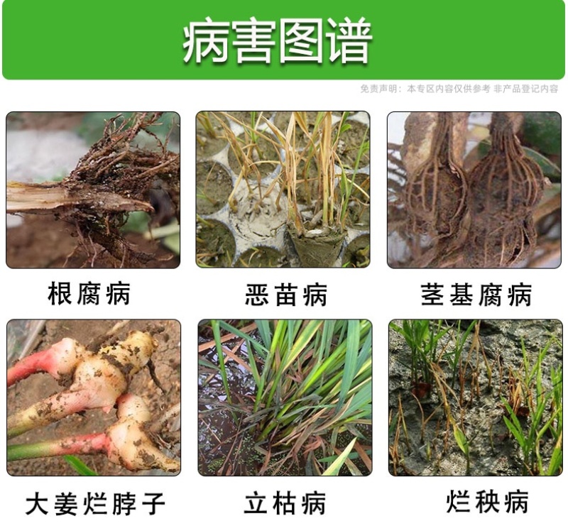 绿亨11%精甲.咯.嘧菌酯枯萎病草莓根腐病茎基腐病拌种剂