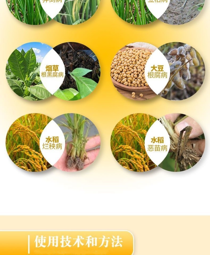 绿亨11%精甲.咯.嘧菌酯枯萎病草莓根腐病茎基腐病拌种剂