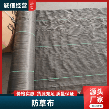 防草布厂家除草布透气保湿抗老化园艺地布全国发货