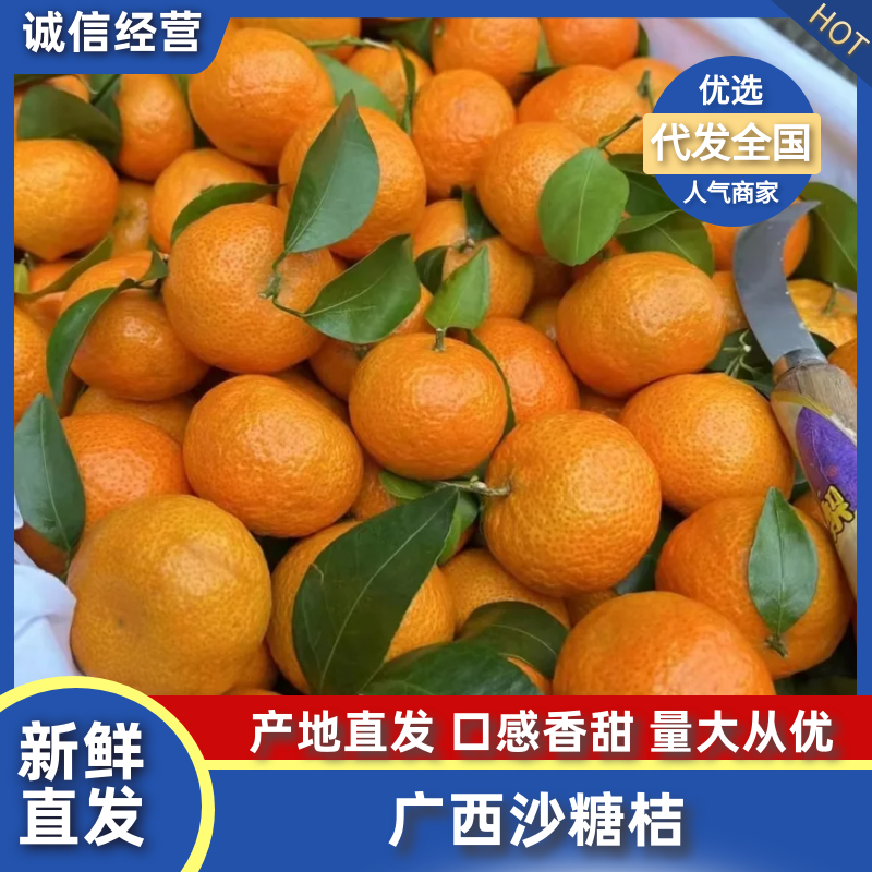 砂糖橘（热卖推荐）产地一手货源规格齐全，代发全国