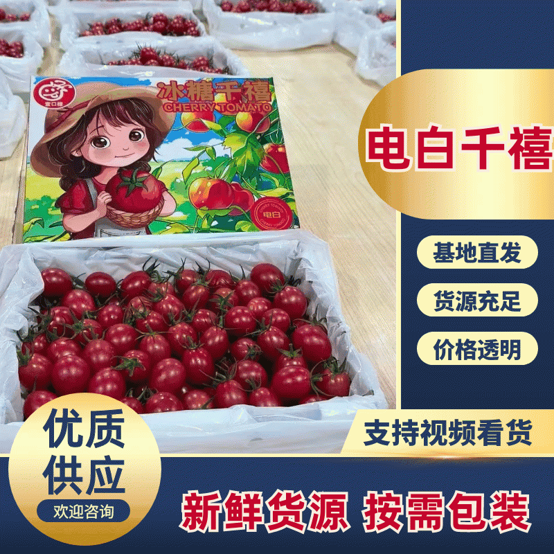 【电白千禧圣女果】现大量上市欢迎电商社区团购市场合作