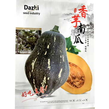 香芋南瓜种子甜粉糯肉厚高产早熟爬架春秋基地种植