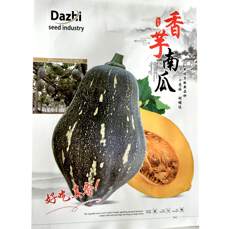 香芋南瓜种子甜粉糯肉厚高产早熟爬架春秋基地种植