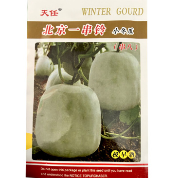 一串铃冬瓜种子肉厚耐高温粉白皮高产节果多基地种植