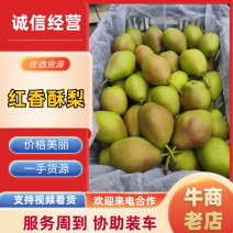 红香酥梨，大量上市中，有想法的老板们抓紧时间联系