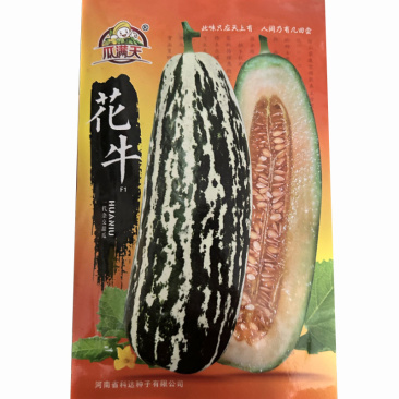 花牛甜瓜种子花皮羊角蜜易座果薄皮肉红色瓜农选种