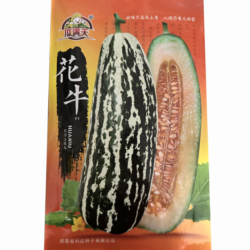 花牛甜瓜种子花皮羊角蜜易座果薄皮肉红色瓜农选种