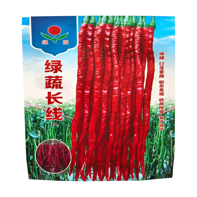 绿蔬长线椒种子中早熟挂果多青椒尖椒高产皮薄辣椒种子