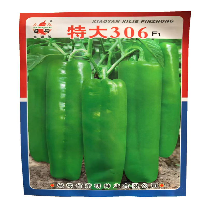 特大306牛角椒种子中早熟微辣大果杂交高产辣椒种子