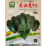 黑油亮9号菠菜种子耐热耐寒半圆叶叶柄坚实韧性好