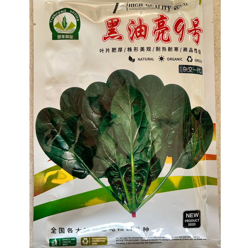 黑油亮9号菠菜种子耐热耐寒半圆叶叶柄坚实韧性好