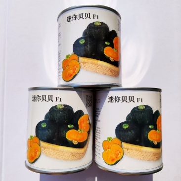 迷你贝贝南瓜种子果肉杏黄水分少粉质细腻甜面可口