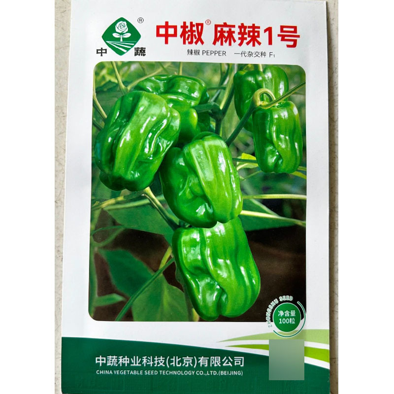 中椒麻辣1号辣椒种子麻辣椒种子果实灯笼形味辣