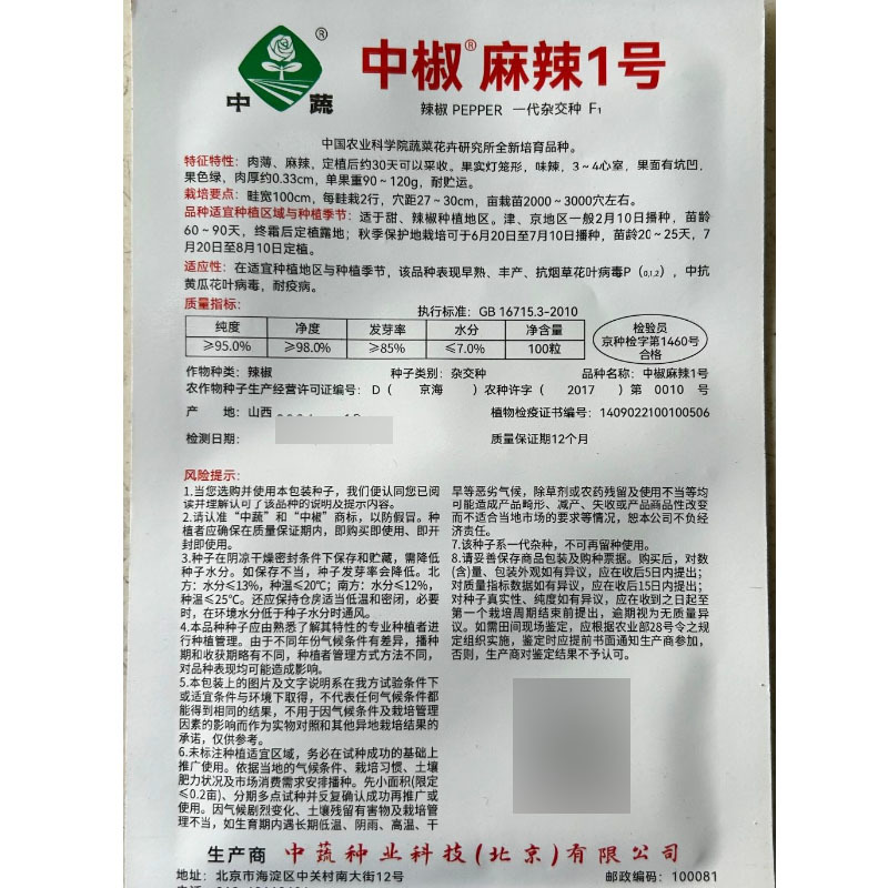 中椒麻辣1号辣椒种子麻辣椒种子果实灯笼形味辣