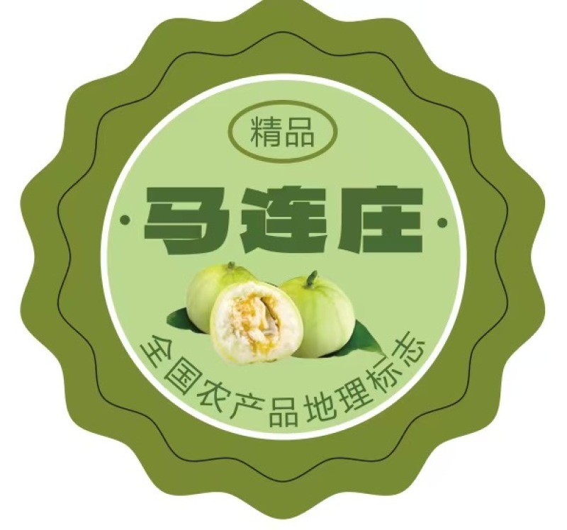 云南马连庄甜瓜大量有货价格实惠可视频看货