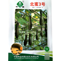 北蜜三号南瓜种子一代杂交嫩瓜质脆微甜老瓜口感香甜