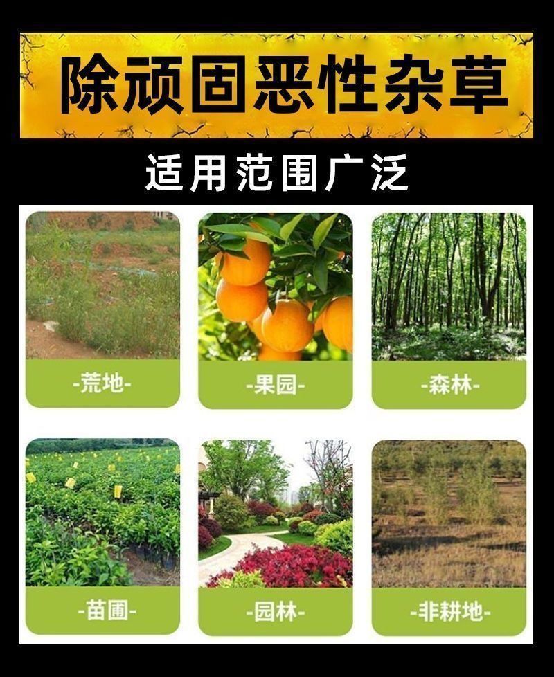 草胺磷草铵膦草铵磷牛筋草烂根杀草剂草甘膦农药一扫光果园除