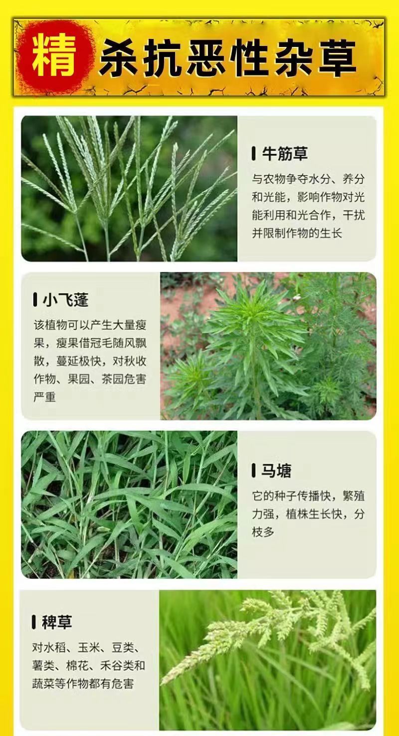 草胺磷草铵膦草铵磷牛筋草烂根杀草剂草甘膦农药一扫光果园除