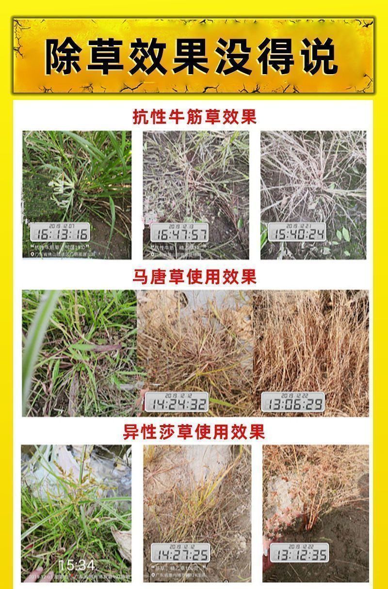 草胺磷草铵膦草铵磷牛筋草烂根杀草剂草甘膦农药一扫光果园除
