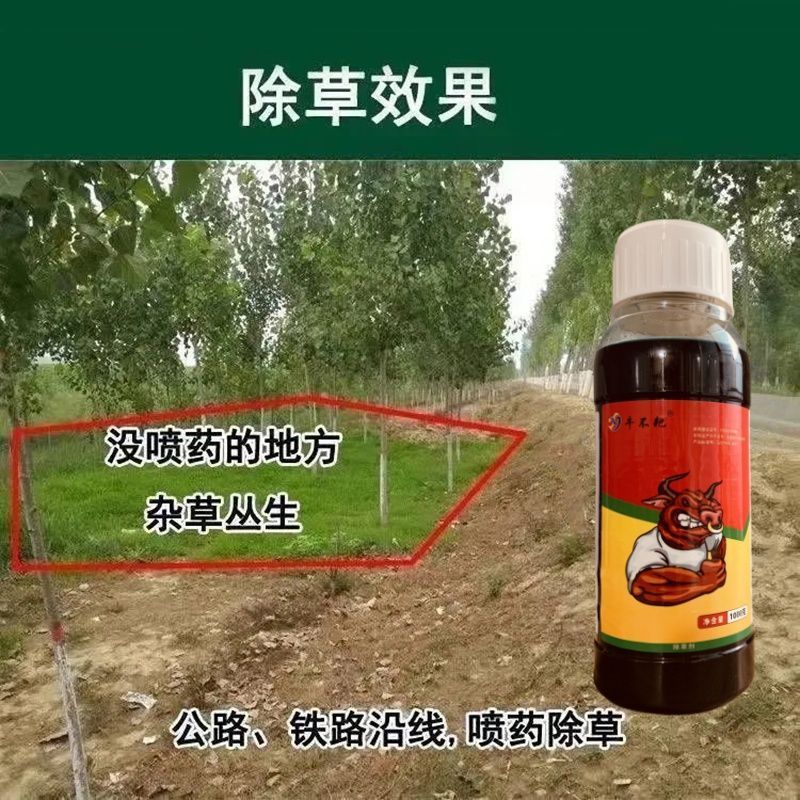 草胺磷草铵膦草铵磷牛筋草烂根杀草剂草甘膦农药一扫光果园除