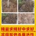 草胺磷草铵膦草铵磷牛筋草烂根杀草剂草甘膦农药一扫光果园除