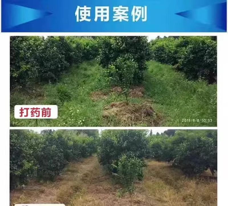 草胺磷草铵膦草铵磷牛筋草烂根杀草剂草甘膦农药一扫光果园除