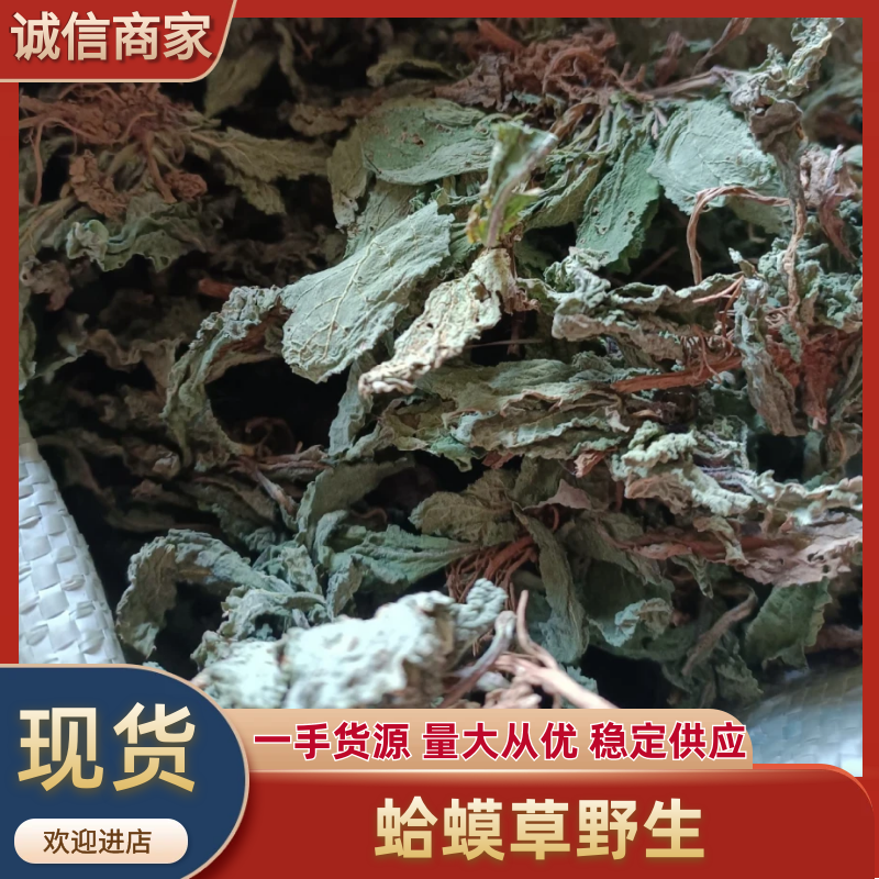蛤蟆草野生一一一图片实物零售批发一手货源