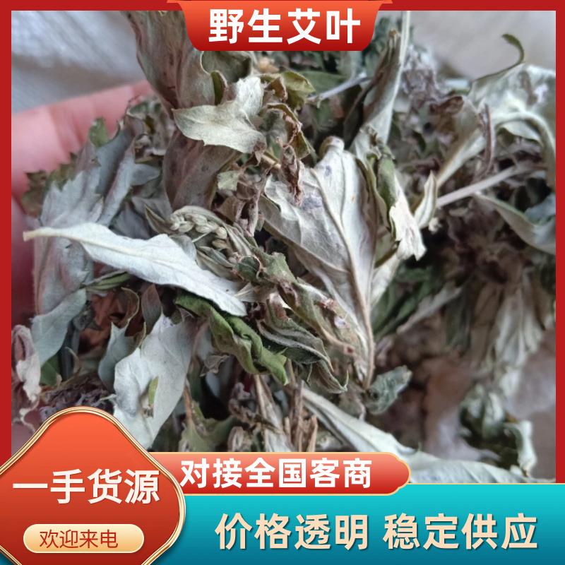艾叶宝天曼野生优质大白艾叶月子洗护熏屋产地地直发