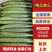 精品黄瓜产地一手货源品质保障量大从优视频看货选货