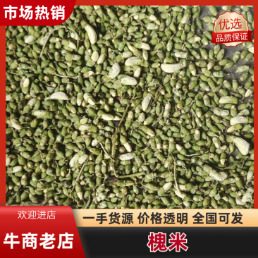 【热卖】河北槐米/精选槐米/新季槐米/单季高含量便宜