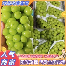 河北冷库阳光玫瑰，净果1块多钱一斤，量大从优，框子免费送