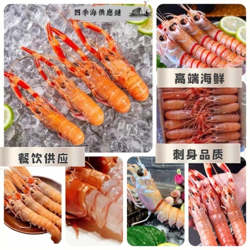 海鳌虾高端海鲜餐饮供应酒店等有需要的老板欢迎合作