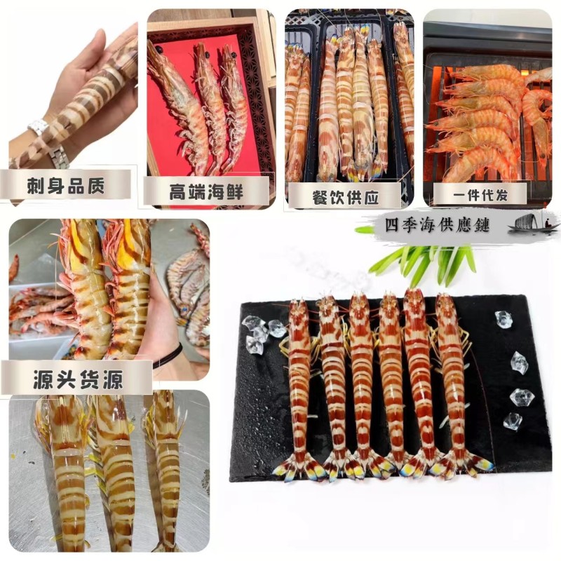 九节虾，斑节虾多种规格品质齐全量大从优欢迎来电