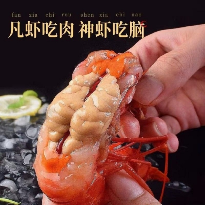 红魔虾，餐饮日料自助餐**，现货批发，量大优惠