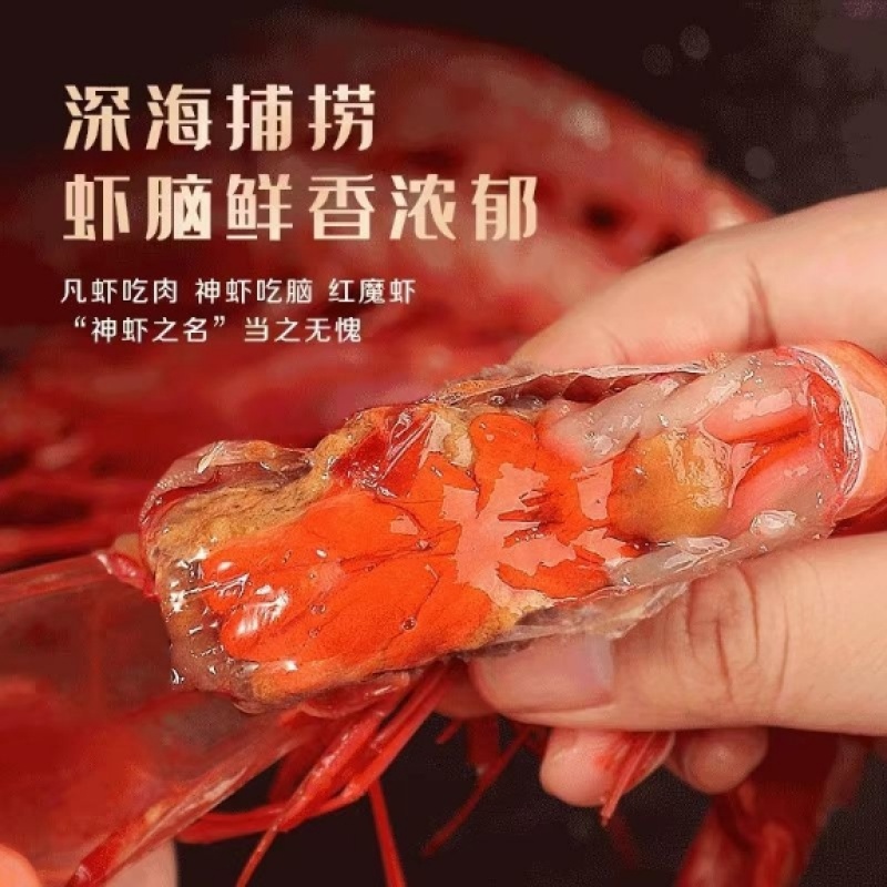 红魔虾，餐饮日料自助餐**，现货批发，量大优惠