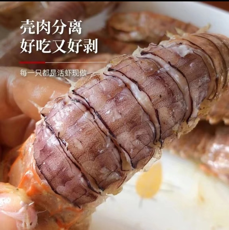 皮皮虾适合餐饮批发量大从优欢迎客户来电咨询下单