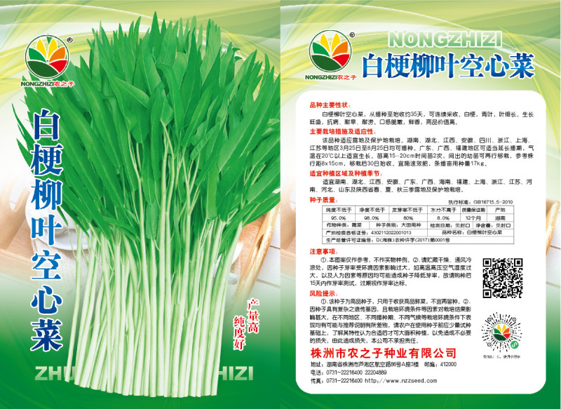 白梗柳叶空心菜收获量大纯度好