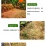 草甘磷除草烂根剂强力一扫专用剂光草甘膦异丙胺盐正品农药除